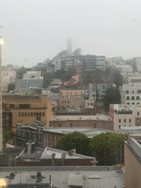 A small toy figure would be resting on a wet, flat rooftop in the foreground, looking out over a dense urban neighborhood shrouded in heavy fog. The view encompasses multiple residential and commercial buildings of varying heights and colors—yellows, browns, grays, and whites—stacked closely together on hillsides, with bare and leafy trees visible among the structures. The overcast, misty conditions create a gray, diffused light typical of early morning or an overcast day, and no people or other toy figures are visible in the frame.