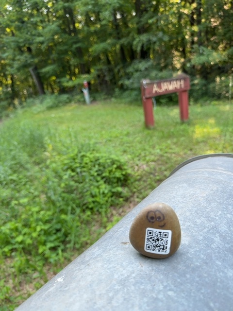 A small painted rock figure with a round brown body and simple facial features rests on what appears to be a gray metal surface or pipe in bright daylight. Behind it stretches an open grassy field dotted with low vegetation and a red wooden sign structure visible in the middle distance, with dense green forest and trees forming a backdrop. No people are visible in the scene, which has the open, natural feel of a rural or park setting during daytime.
