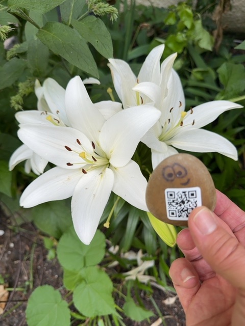 A small painted rock figure with a simple face design is held in someone's hand in the foreground, positioned to face a cluster of white lilies with yellow stamens and green foliage in a garden setting. The hand belongs to a person wearing pink nail polish, photographed during daytime with natural sunlight illuminating the flowers and surrounding plants. The scene captures an outdoor garden environment with the tiny figure serving as a scale reference against the delicate, full-bloomed flowers.