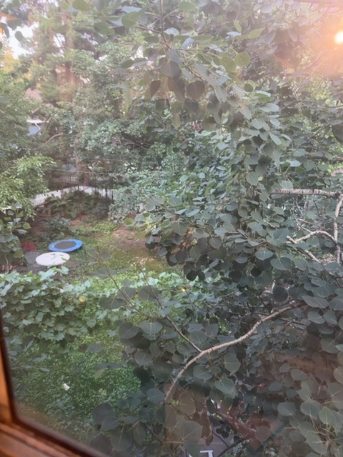 A small toy figure would be resting on a windowsill or being held up to a window, looking out at a densely vegetated backyard garden with climbing vines, large-leafed plants, and overgrown foliage. The scene is captured in golden, warm afternoon or early evening light that streams through the window, creating a glowing effect on the right side of the frame. In the garden below, plastic items including blue and white circular objects are visible among the greenery, with wooden fencing and various plant growth creating a layered, enclosed natural space.