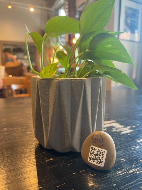 A small painted river rock with two round eyes and a QR code marking rests on a dark wooden table surface in the immediate foreground, positioned to the right of a gray ridged ceramic planter. The planter contains green plants with broad leaves and is situated on the same dark wooden table. Behind the table, the space opens into an interior room with warm ambient lighting from ceiling fixtures, blurred furniture visible in the background, and a window or glass surface on the right side showing blue tones. The overall setting appears to be indoors during daytime or early evening, with warm lighting creating distinct shadows on the wooden surface.
