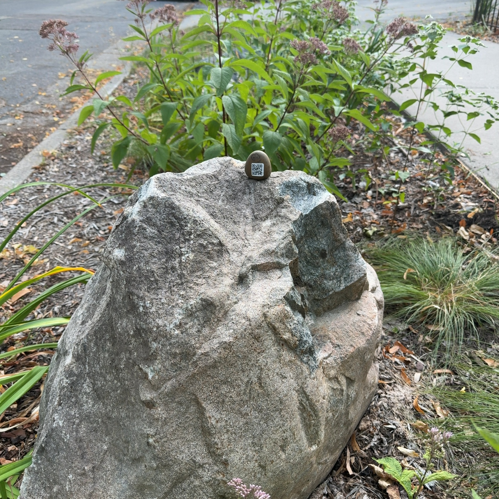 A small painted rock with a QR code rests on top of a large gray boulder in the foreground. The boulder sits in a garden bed surrounded by plants, including green-leafed shrubs with purple flower clusters, ornamental grasses, and dark mulch. Water is visible in the background beyond the vegetation, suggesting a waterside location. The image is taken in natural daylight, and the overall setting appears to be an outdoor botanical or landscaped area.